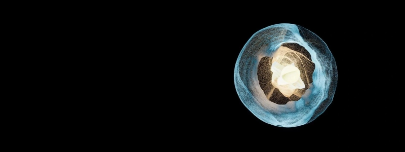 Omics Empower Sequencing Services: Your One-stop Choice