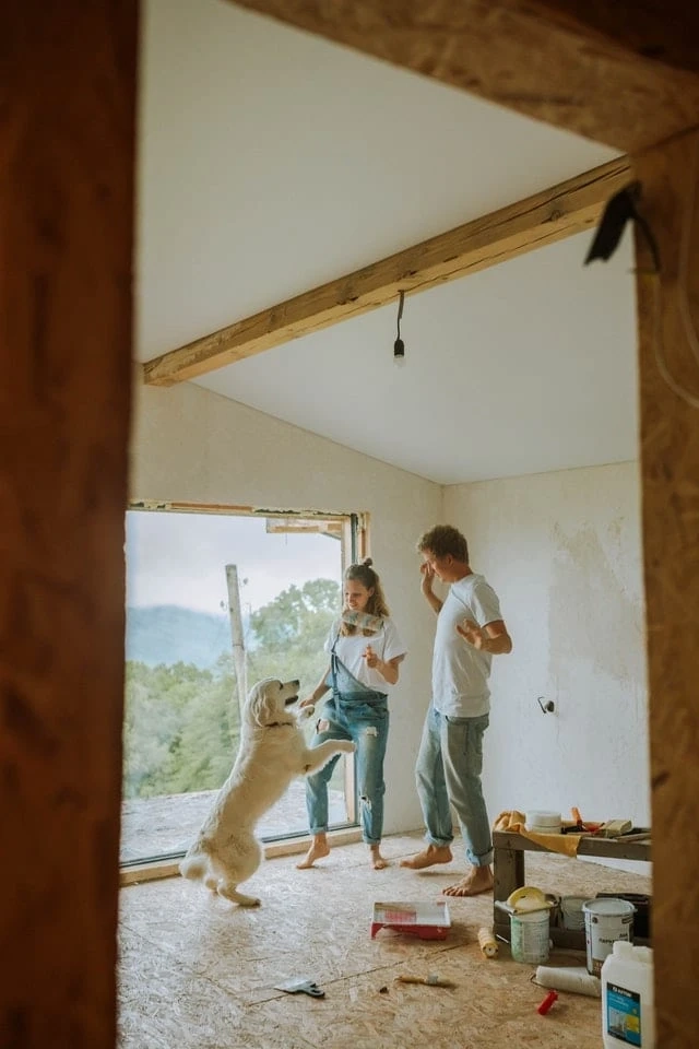 5 Home Renovations That Will Help the Environment