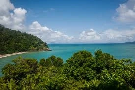 Top 5 Private Beach Resorts in Andaman for Honeymooners