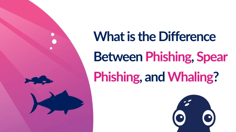 What Is The Difference Between Spear Phishing And Whaling?