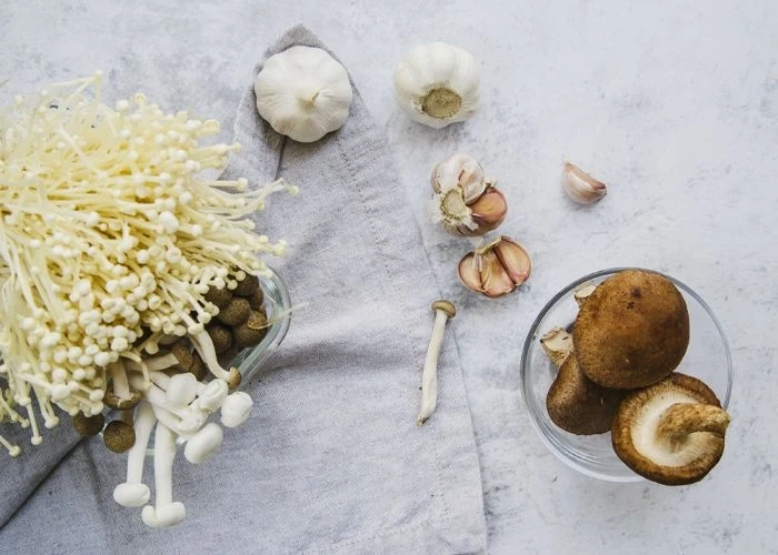Top Tips for Selecting Premium Functional Mushroom Tinctures