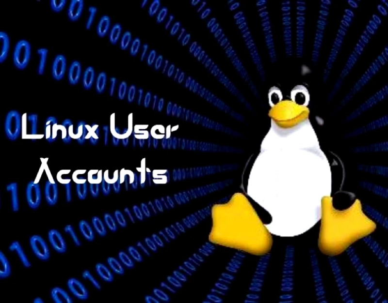 Many types of Linux User Accounts