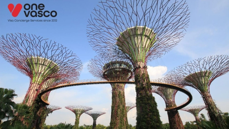 Museums in Singapore That Showcase Art, History & Science