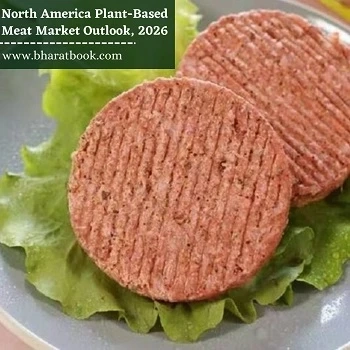 North America Plant-Based Meat Market Outlook, 2026