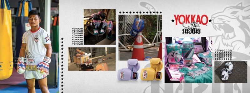 Online Martial Art Equipment Store - Muay Thai Combat