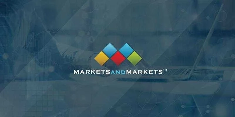 Legionella Testing Market Insights: Uncovering Market Opportunities and Competitive Landscape for Success