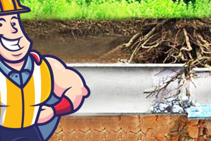 Ensure Your Home's Well-being with Drain5etoiles