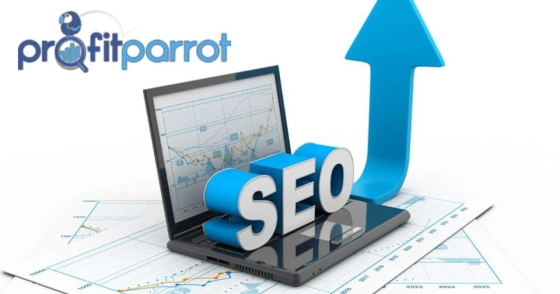 Get Experts With Hamilton SEO Company For Better Ranking