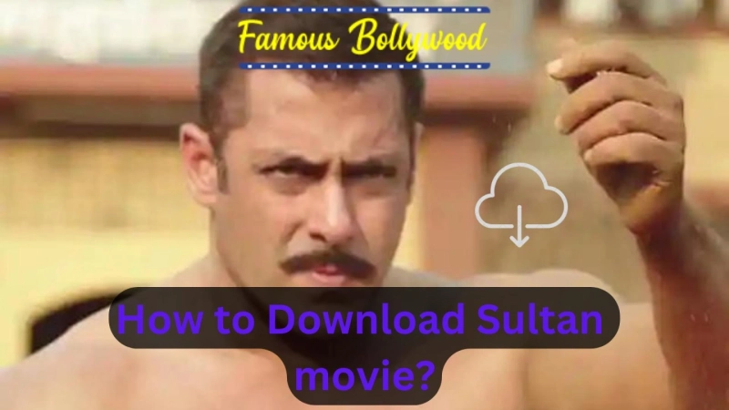 How to download Sultan movie?