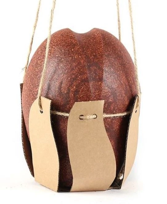 Biodegradable urns for ashes