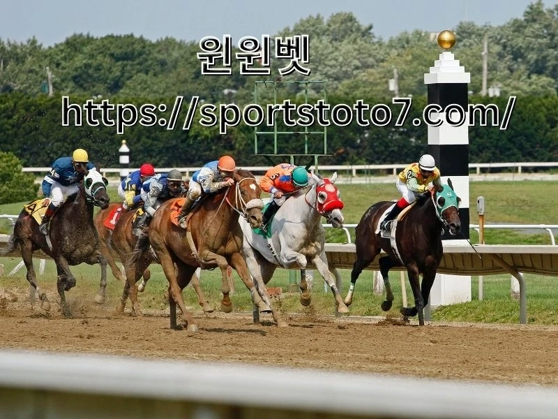 Tasman Park scores once more