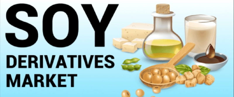 Soy Derivatives Market Trends, Shares, Size and Forecast Research Report 2028