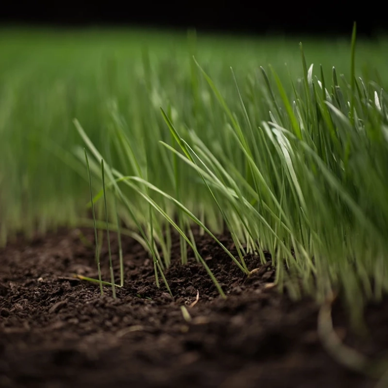 Get Sprinkler Repair Services and Ensure Efficient Irrigation Throughout the Lawn