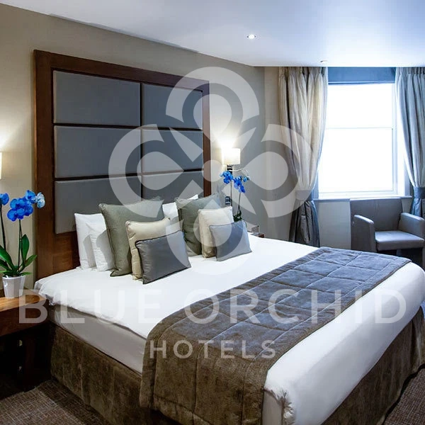 Most favourite blue orchid's five-star hotel in London