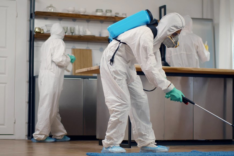 How to Develop a Pest Control App