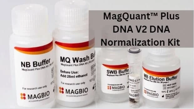 How to use MagQuant™ Plus DNA V2 DNA Normalization kit for NGS library construction