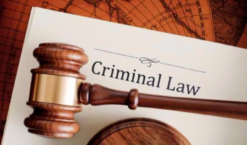 Criminal lawyer in delhi I Criminal lawyer I Criminal advocate in delhi