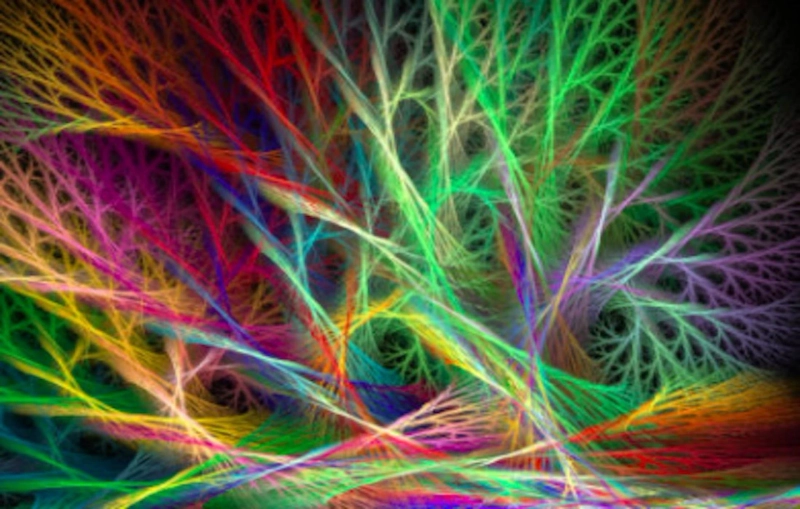 A New Lens on Creative Expression and Cultural Identity