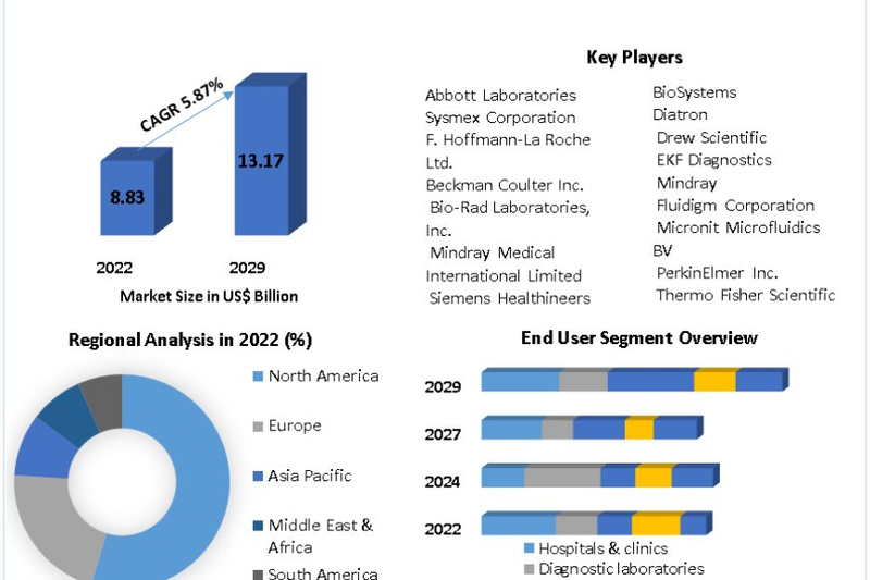 Future Outlook of the Hematology Diagnostics Market: Opportunities and Challenges 2024-30