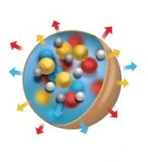 Controlled Release Fertilizers Market: Global Report, Size, Share, and Trends Analysis 2024-2030