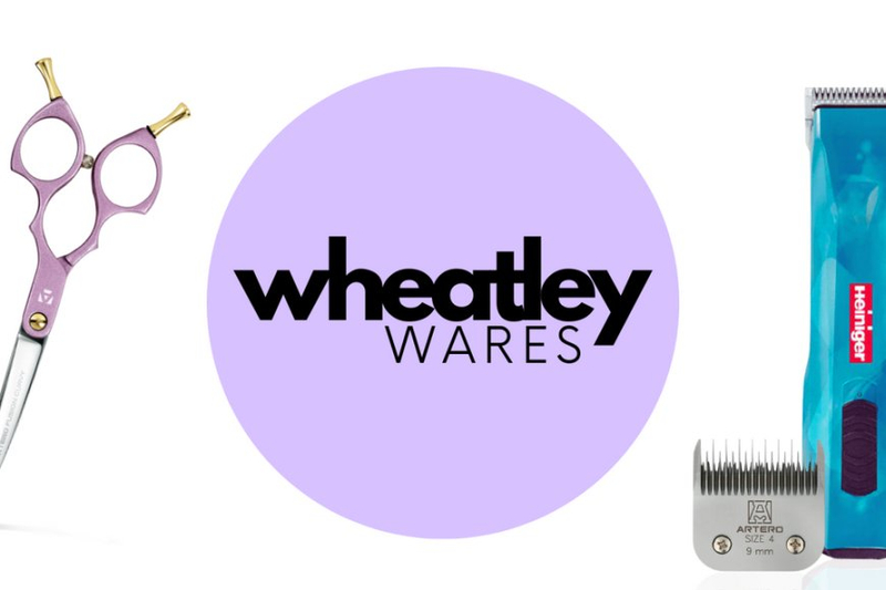 Groom with Confidence: Choosing the Best Pet Grooming Aids