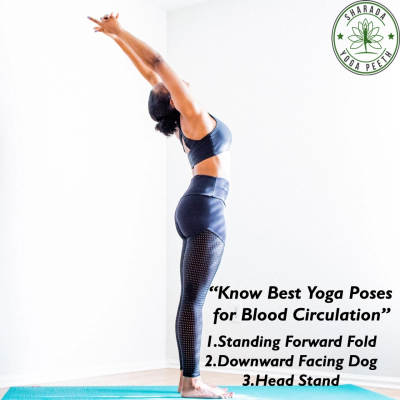 Know Best Yoga Poses for Blood Circulation