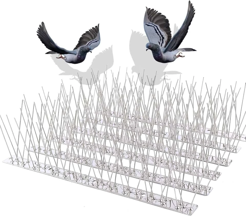 Bird Spikes in Dubai: Humane Bird Control Solutions