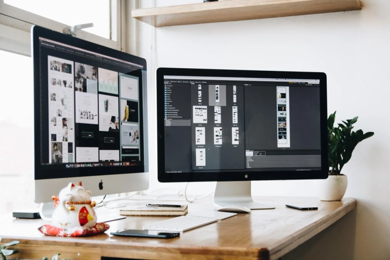 Graphic Designing Course in Delhi: Give it A beginner Look