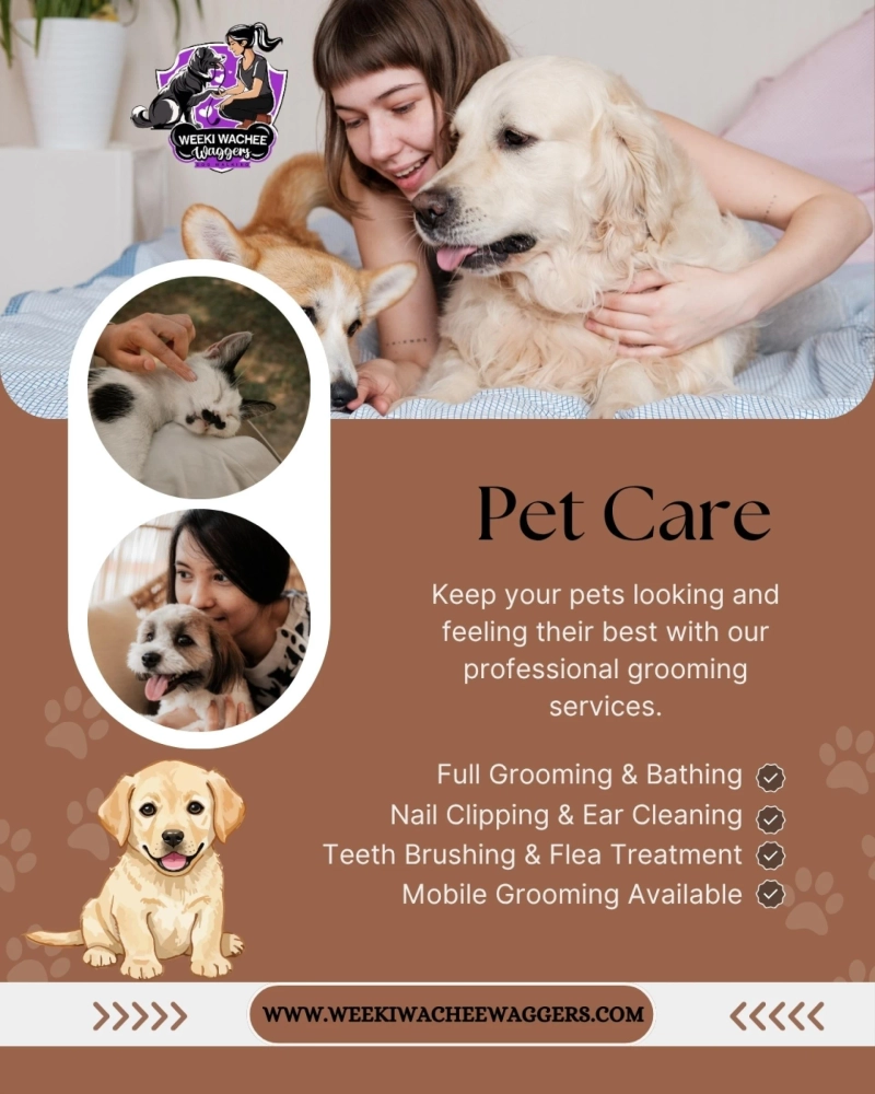 Caring for Pets in a Growing Spring Hill Community