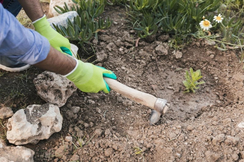 Why Local Topsoil & Aggregate Delivery Services Matter for Healthy Lawns and Gardens