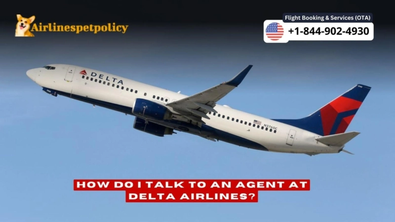 How to Talk to a Person at Delta Airlines?