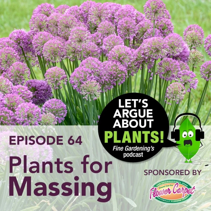 Episode 64: Plants for Massing