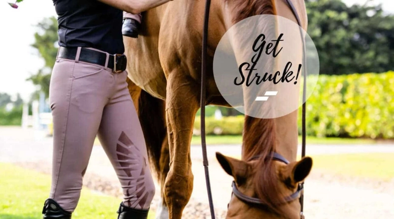 Common Advantages of Buying Vision Saddler for Horse