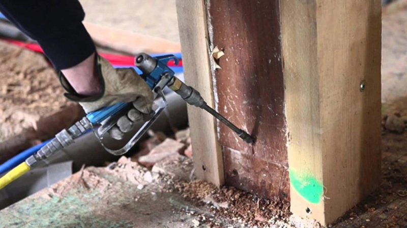 Strategies To Remove Drywood Termite Control