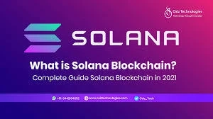 Harness the Power of Solana: Leading Blockchain Development Services for Your Business