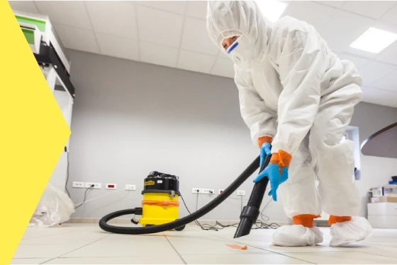 Ensure Hygiene In Your Space With Clean Carpets!