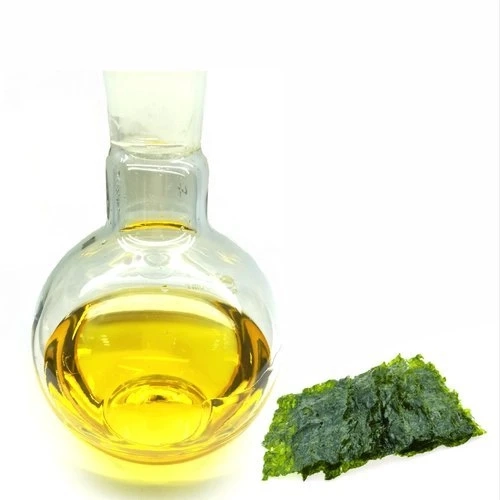 Algae Oil Market – Drivers, Strategies, Applications And Competitive Landscape 2030 | GET FLAT 20% O