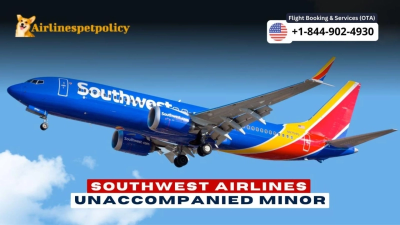 Southwest Airlines Unaccompanied Minor Travel Guide