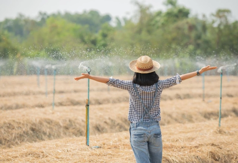 Irrigation: The Key to Growing Rural Entrepreneurship