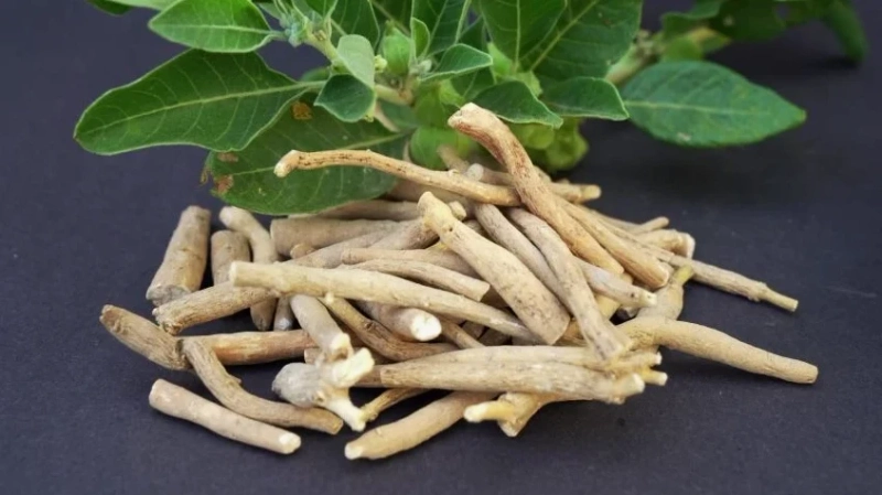 How Ashwagandha for Stress Can Improve Your Well-being