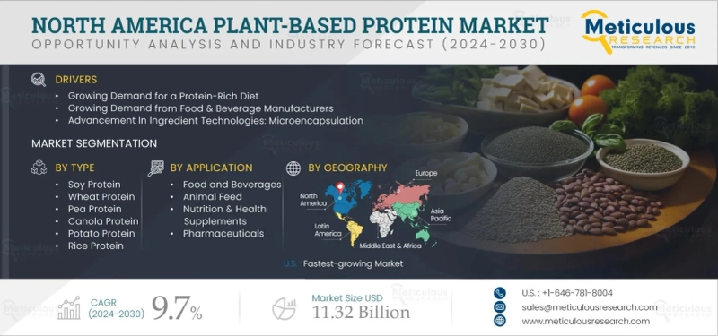 North America Plant Protein Market Outlook 2025 to 2032 Emerging Trends and Opportunities