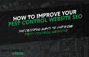 How SEO Impacts Pest Control Businesses: Increasing Visibility and Leads