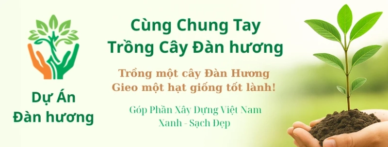 Cây Đàn Hương – Giải Pháp Thiên Nhiên Giúp Làm Chậm Tiến Trình Biến Đổi Khí Hậu