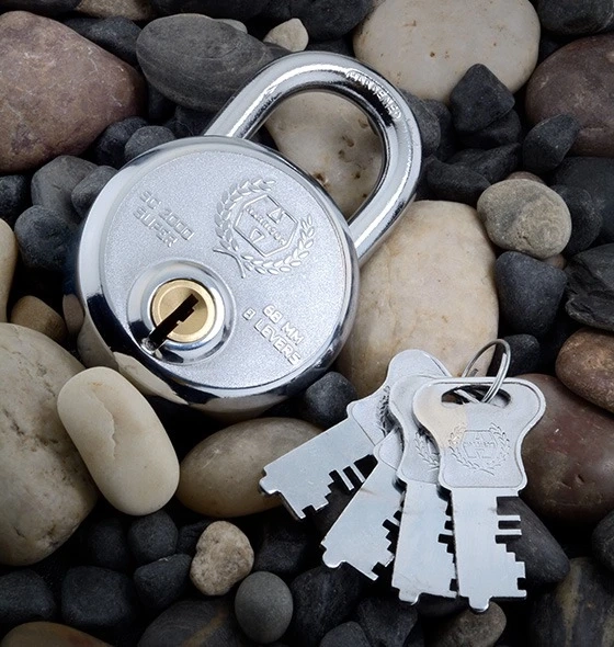 Why Does Your Family Need a Door Locks?