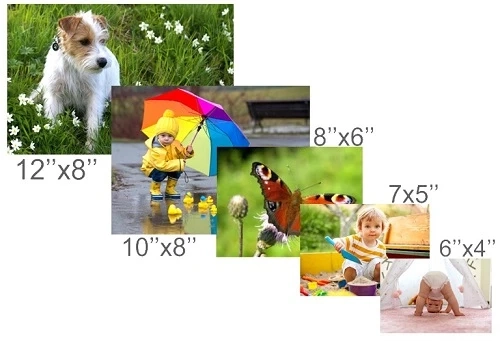 Bring Your Ideas to Life with Digital Picture & Print Ltd’s Expert Printing Services