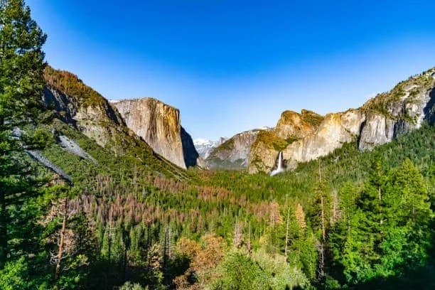 Download macOS Yosemite DMG for the Best Experience