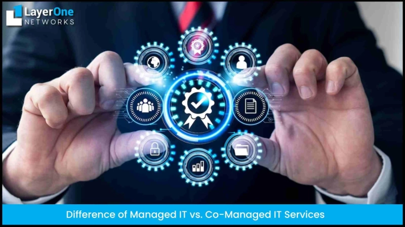 Difference of Managed IT vs. Co-Managed IT Services