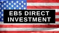 Is the Investor Route a Good Option for Business possessors?