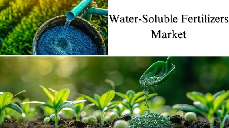 Water-Soluble Fertilizers Market Size, Share, Growth Forecast Through 2032