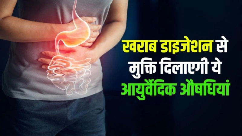 खराब Digestion से मुक्ति दिलाएगी ये आयुर्वैदिक औषधियां, ऐसे करें इस्तेमाल, Indigestion Home Remedies